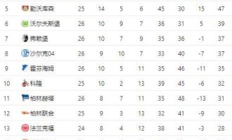  拜仁与多特积分差距缩小至一分  